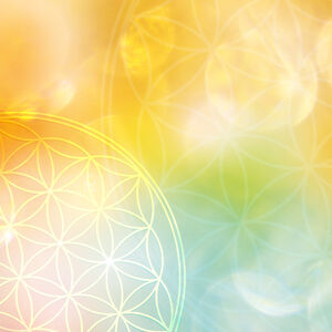 AdobeStock_292155430
