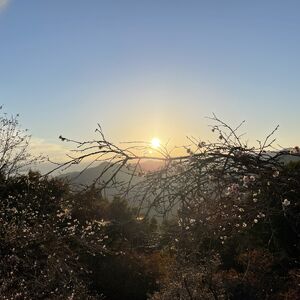 IMG_1001